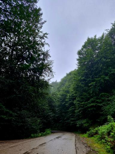 عکس چشمه بزلا