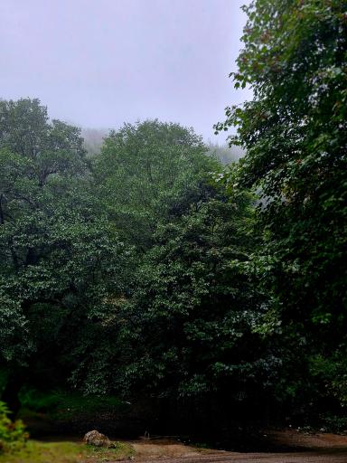 عکس چشمه بزلا