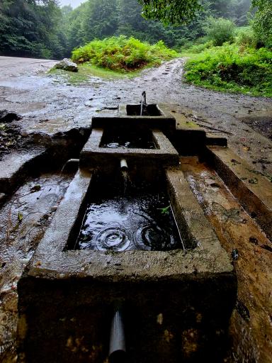 عکس چشمه بزلا