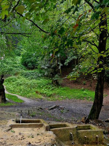 عکس چشمه بزلا