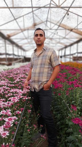 عکس مزرعه گل حسنی پازکی