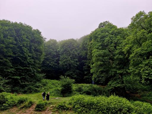 عکس چشمه بزلا