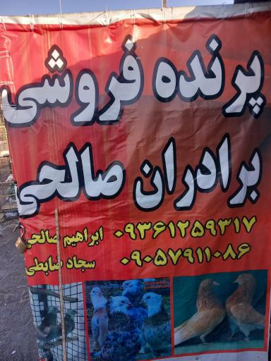 عکس پرنده فروشی برادران صالحی