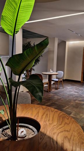 عکس کافه زی پراجکت