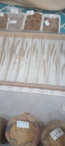 عکس موزه مردم شناسی سده لنجان