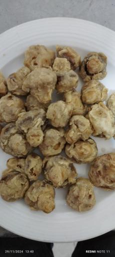 عکس فست فود مستر کیلوچی