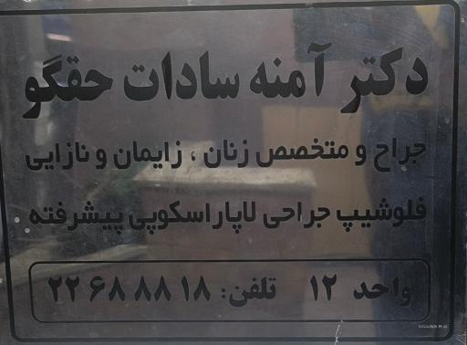عکس دکتر آمنه سادات حقگو 