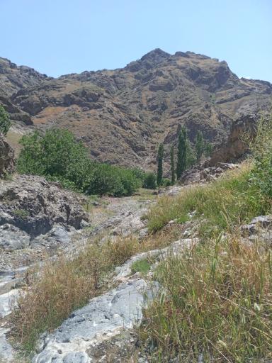 عکس چرچیلو
