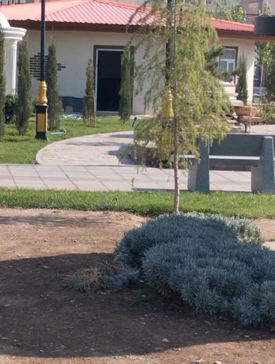 سرویس بهداشتی