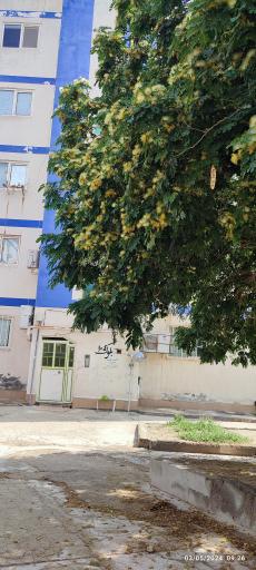 عکس بلوک ۱۰۴ مسکن مهر