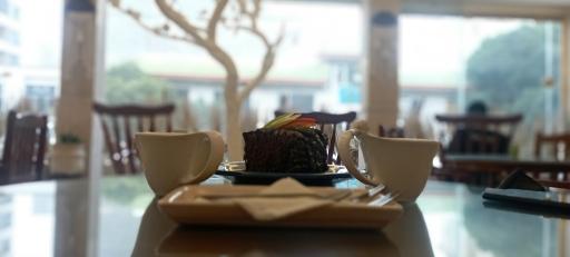 عکس کافه گالری‌ روستیک