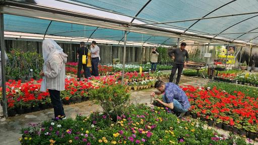 عکس خانه گل ناردین