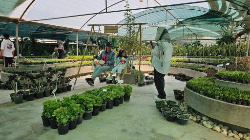 عکس خانه گل ناردین