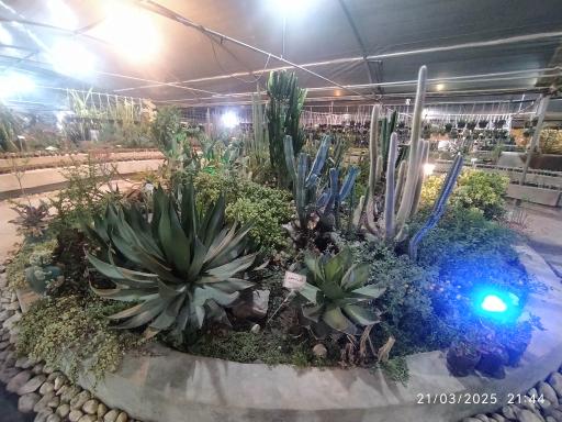 خانه گل ناردین