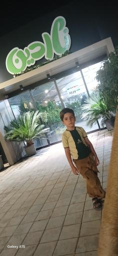 عکس خانه گل ناردین