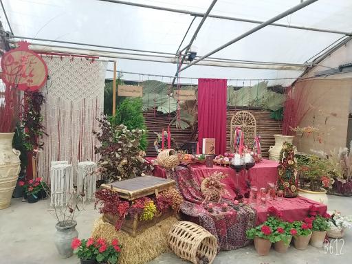 عکس خانه گل ناردین