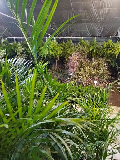 عکس خانه گل ناردین