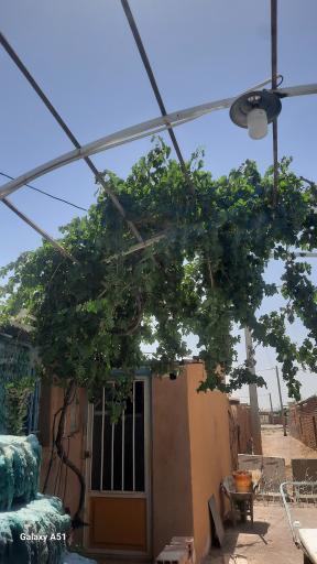 عکس مهمانسرای انصاف فردوس