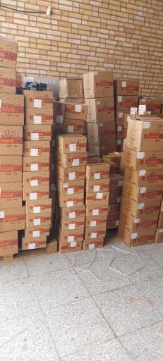 عکس سیترا یدک نصراللهی