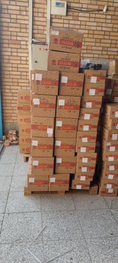 عکس سیترا یدک نصراللهی