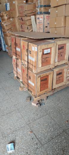 عکس سیترا یدک نصراللهی