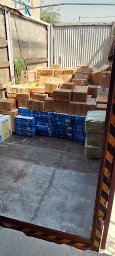 عکس سیترا یدک نصراللهی