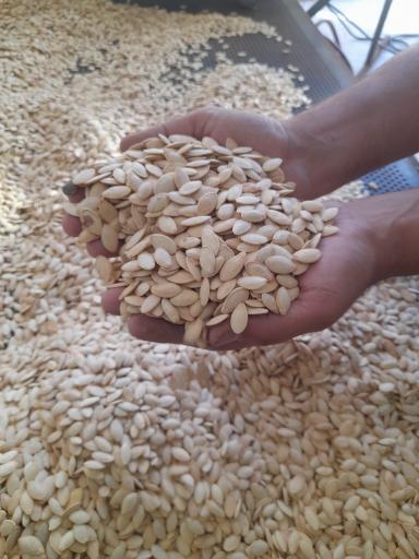 عکس کارگاه تخمه پزی و آجیل زمانی 