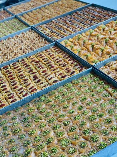 عکس شیری سرای کندو