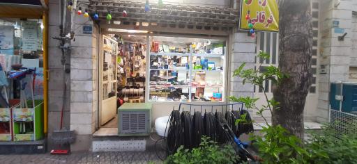 عکس الکتریکی گلستان