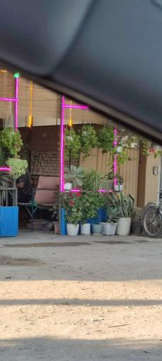 عکس کله پزی ننه اصغر 