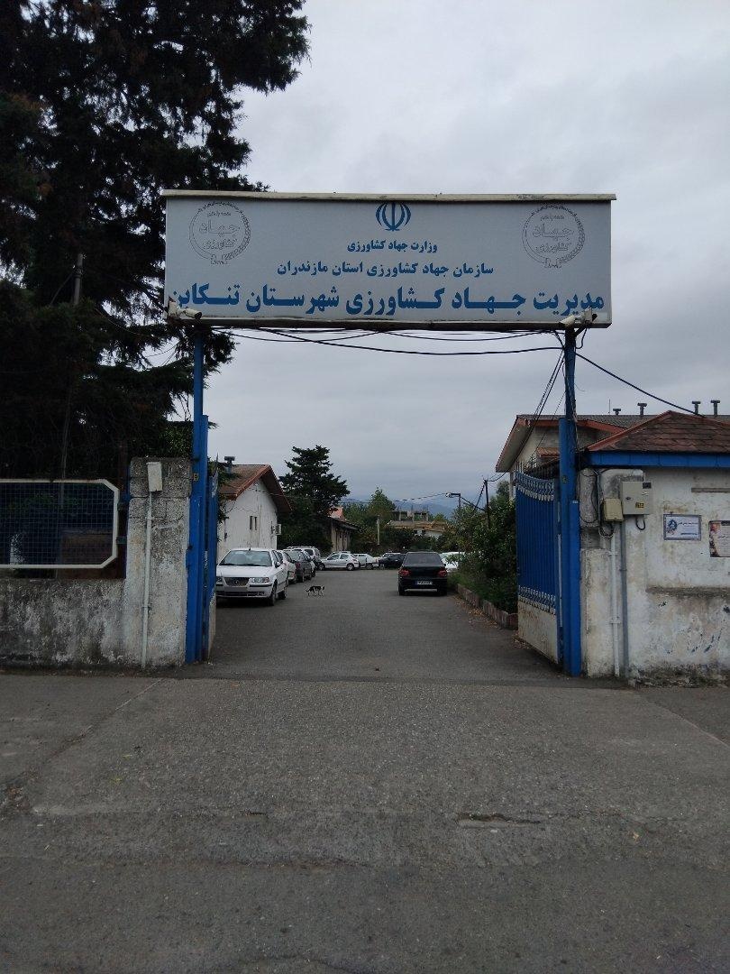 عکس مدیریت جهاد کشاورزی شهرستان تنکابن
