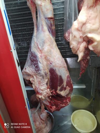 عکس سوپرگوشت عسگری یامچی