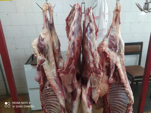 عکس سوپرگوشت عسگری یامچی