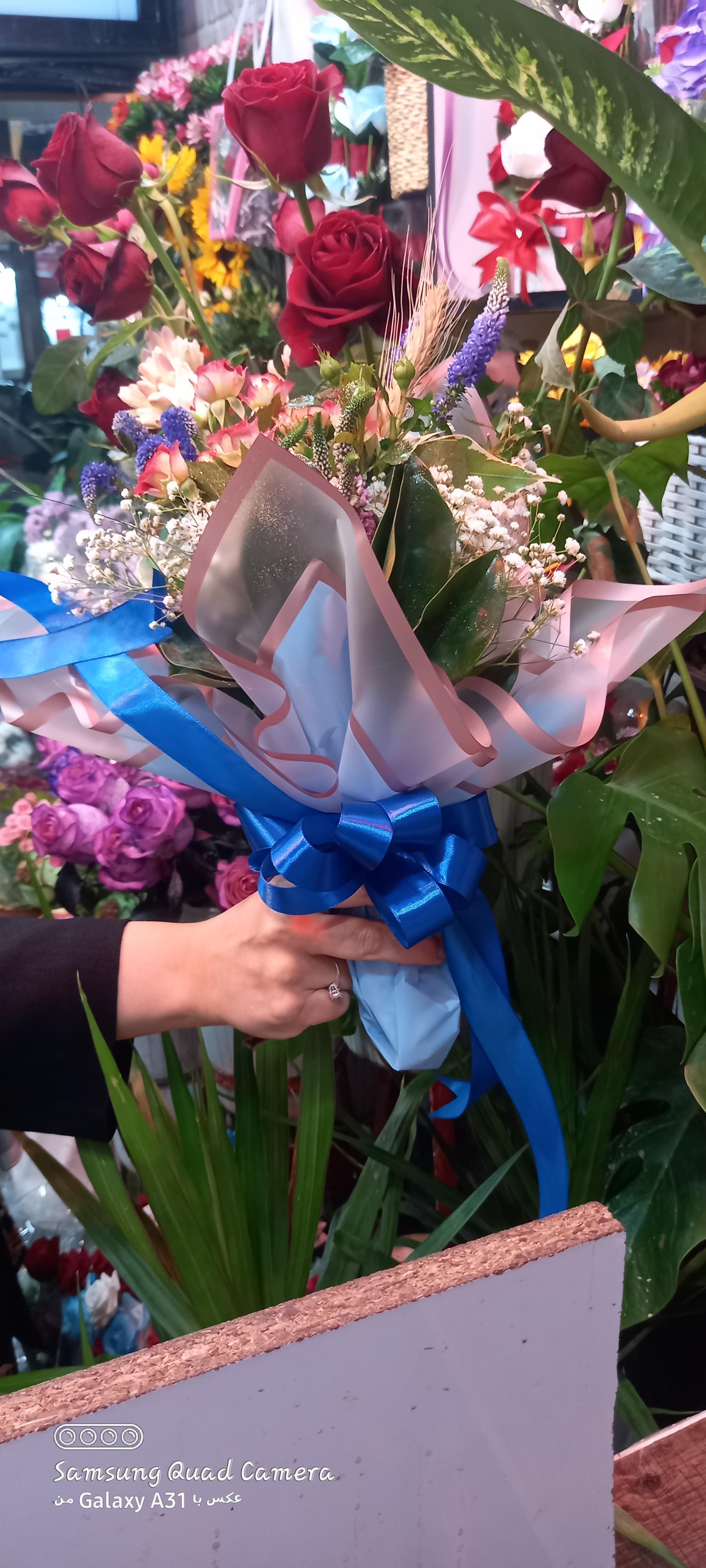 عکس قصر گل نرگس