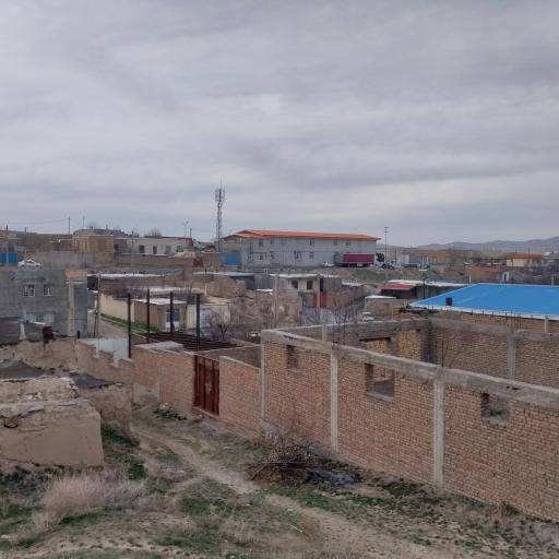 عکس بنه کهل