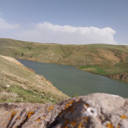 عکس بنه کهل