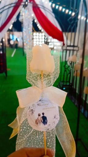 عکس عمارت الیزه