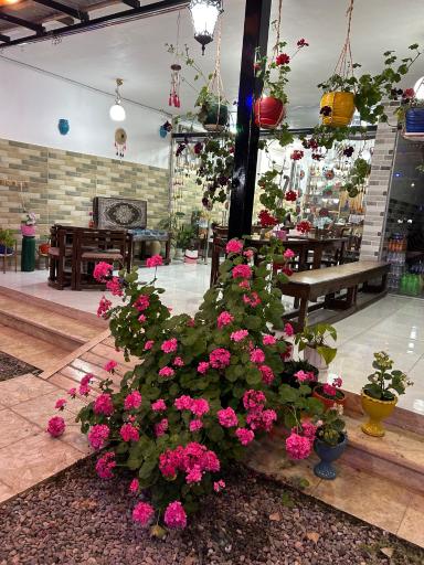 عکس سیرابی صفری اصل