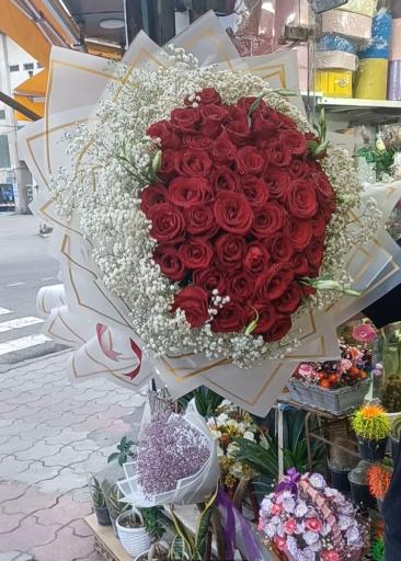 عکس قصر گل نرگس