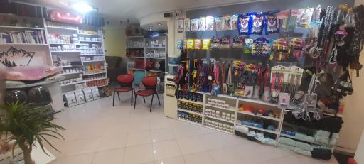 عکس کلینیک دامپزشکی آینده