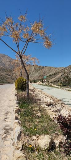 عکس پارک کوهستانی دراک