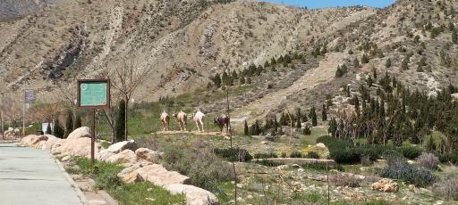 عکس پارک کوهستانی دراک