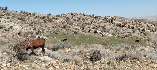 عکس پارک کوهستانی دراک