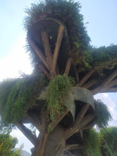 عکس پارک کوهستانی دراک