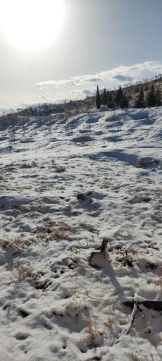 عکس پارک کوهستانی دراک