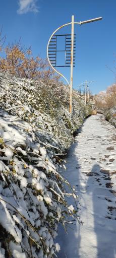 عکس پارک کوهستانی دراک