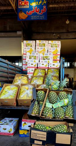 عکس بار فروشی قربانی