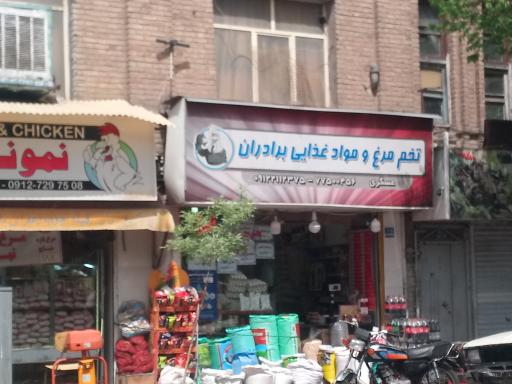 عکس مواد غذایی برادران 