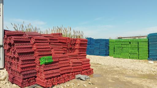 عکس سبد سازی طالب پور