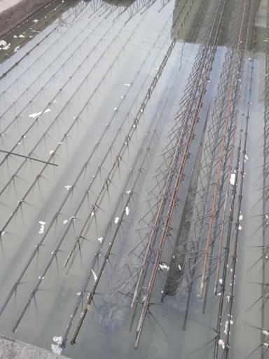 عکس تولید تیرچه استحکام‌‌‌ 